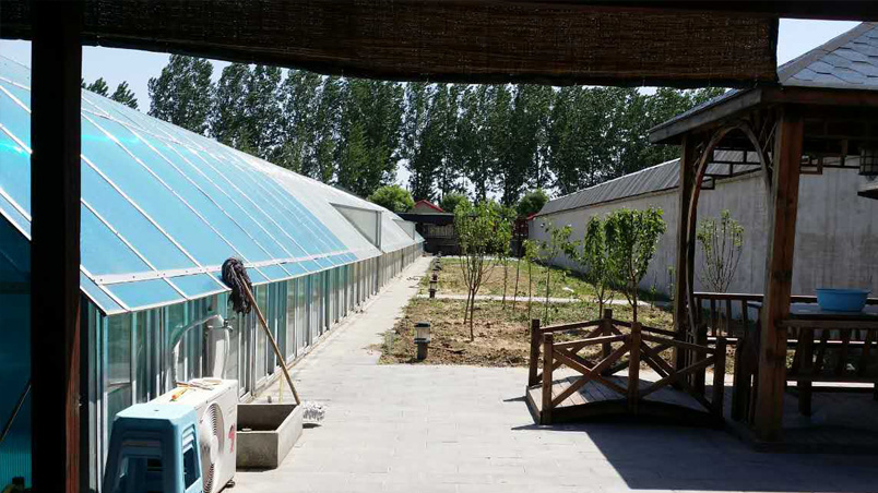 蔬菜大棚出租项目美图-北京绿色农家院