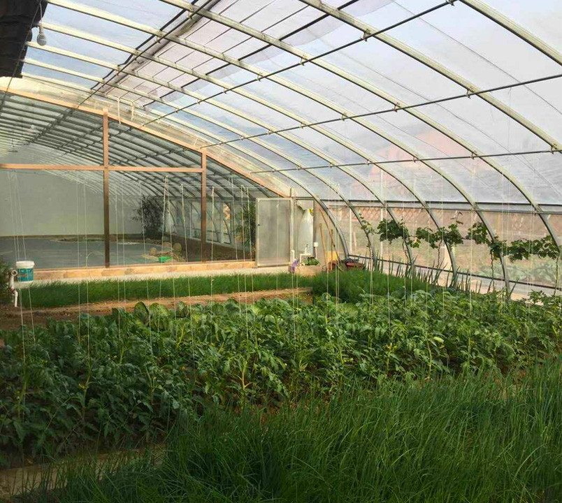 水培蔬菜大棚设计图展示