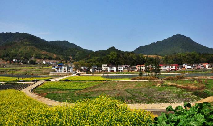 从农家院出售看未来农村发展潜力