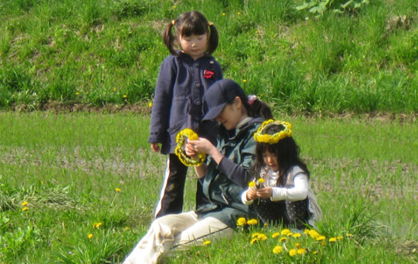 农家院出租