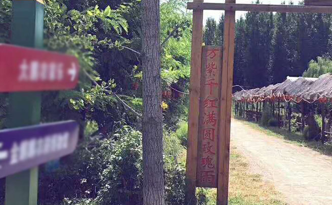 北京精装公寓出租