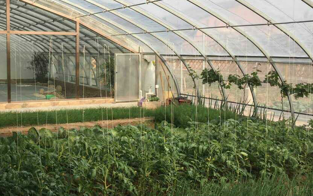 院内配备蔬菜大棚,可供住户种植蔬菜瓜果体验种植乐趣更多产品